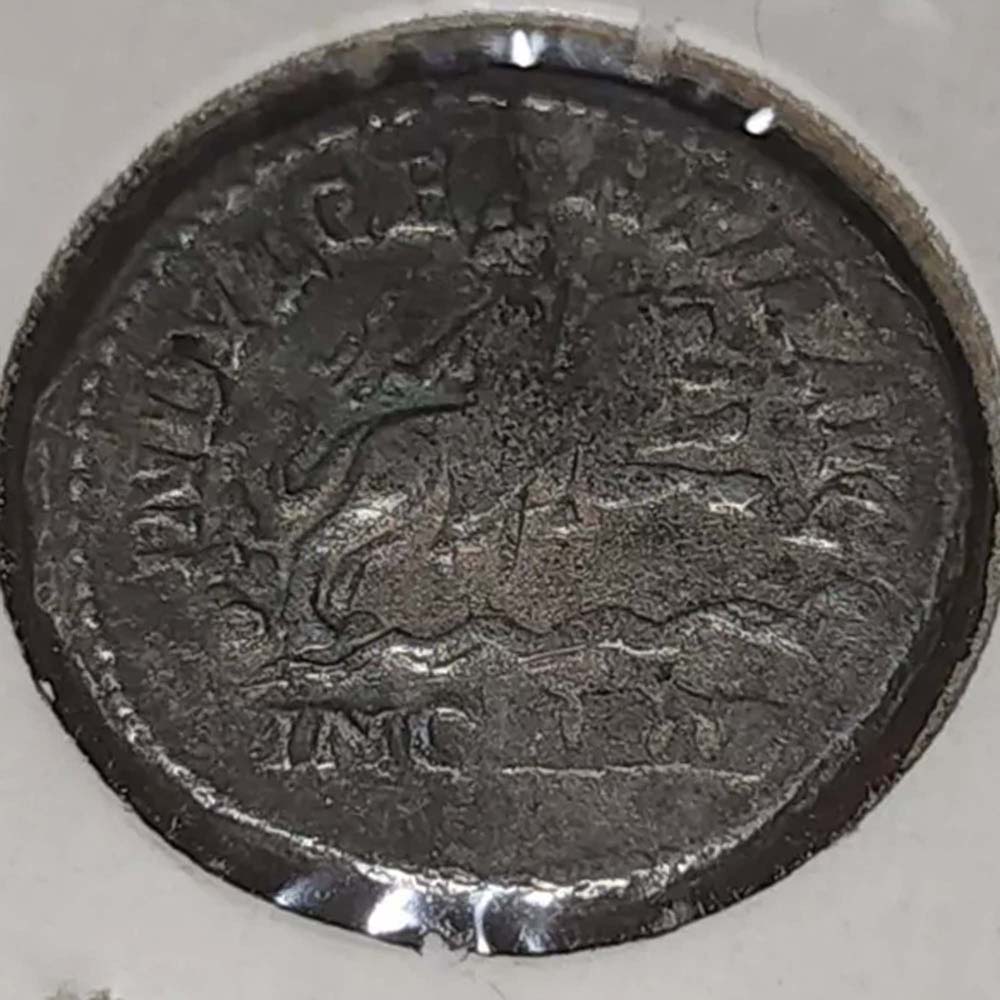 Geta-Denarius---Fake-Or-Unlisted-Mule?